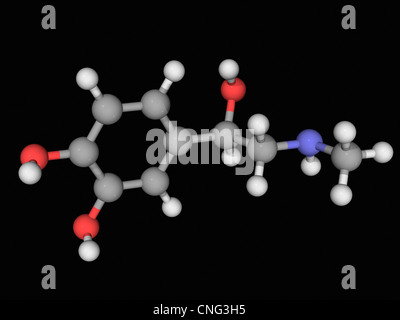 Molecola di epinefrina Foto Stock
