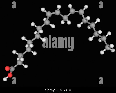 Acido linoleico molecola Foto Stock