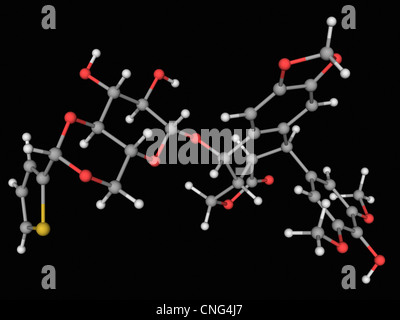 Teniposide molecola di farmaco Foto Stock
