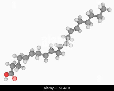 Acido arachidonico molecola Foto Stock