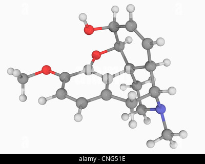 Codeina molecola di farmaco Foto Stock