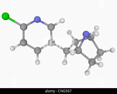 Epibatidine molecola di veleno Foto Stock