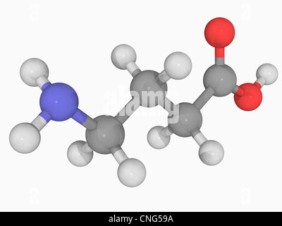 Acido gamma-amminobutirrico (GABA) molecola Foto Stock