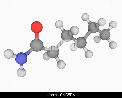 Esanammide molecola Foto Stock