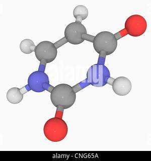 Molecola di uracile Foto Stock