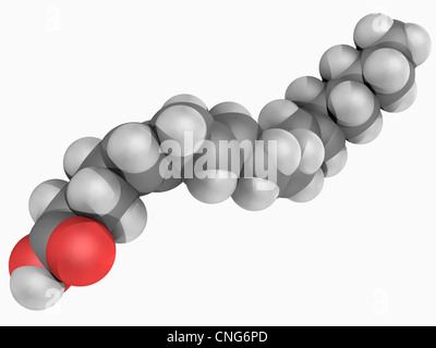 Acido arachidonico molecola Foto Stock