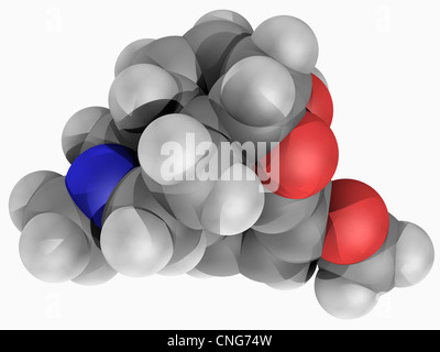 Codeina molecola di farmaco Foto Stock