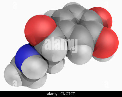 Molecola di epinefrina Foto Stock