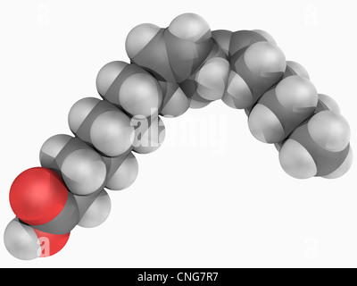 Acido linoleico molecola Foto Stock