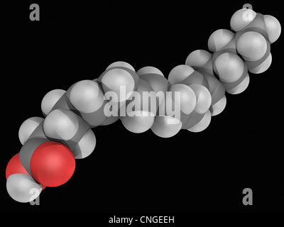Acido arachidonico molecola Foto Stock