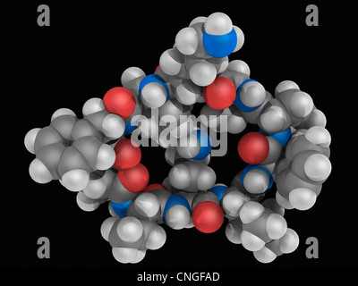 La gramicidina S molecola di farmaco Foto Stock