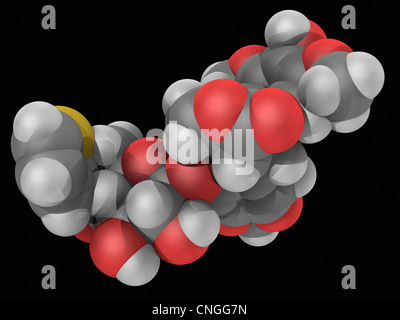 Teniposide molecola di farmaco Foto Stock