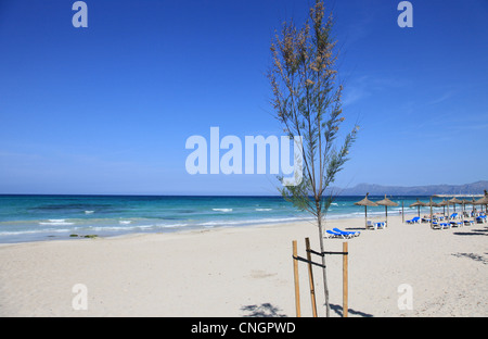 L'ampia e sabbiosa spiaggia di C'an Picafort sull'isola delle Baleari di Mallorca, Spagna Foto Stock