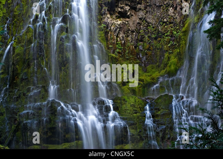 Proxy cascata cade in Oregon. Foto Stock