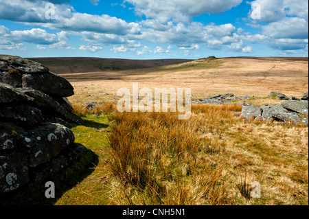 Vista guardando su Dartmoor da Beardown Tor verso nord Moor, Devil's Tor che mostra il granito affioramenti rocciosi Foto Stock