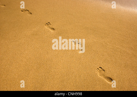 Orme nella sabbia con acqua di mare Foto Stock