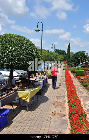 L'Unione edifici giardini, Meintjieskop, Pretoria, provincia di Gauteng, Repubblica del Sud Africa Foto Stock