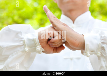 La mano del maestro compiendo gesti di kung fu Foto Stock