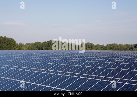 Righe di pannelli solari in un campo Foto Stock