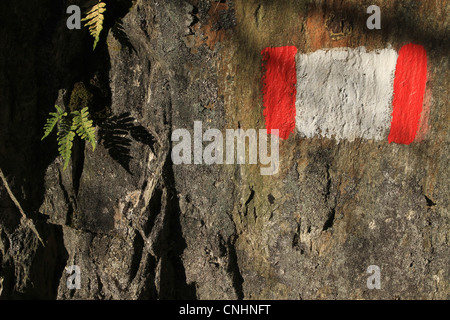 Un simbolo dipinta su una roccia segnando un sentiero, close-up Foto Stock