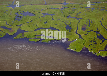 Diversi fiumi che scorrono in un corpo di acqua, vista aerea Foto Stock