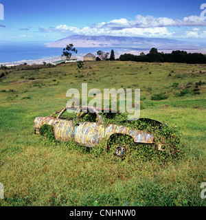 Un auto abbandonate di edera che cresce in ed intorno ad esso Foto Stock