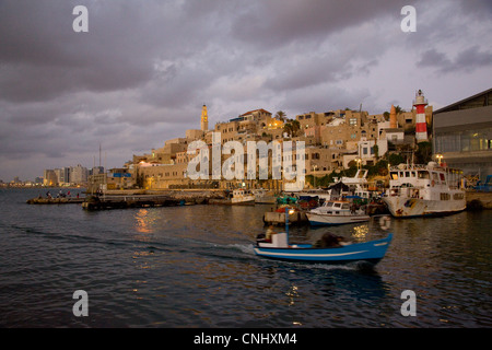 Fotografia del porto e la città vecchia di Jaffa di notte Foto Stock