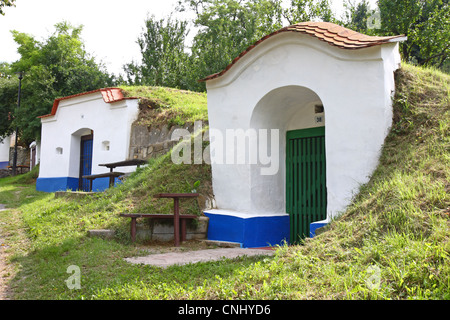 Tradizionali cantine di vino chiamato Plze in Petrov, Repubblica Ceca Foto Stock