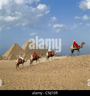 Cammelli e piramidi, Camel piloti davanti delle piramidi al Cairo, Egitto, Nord Africa Foto Stock