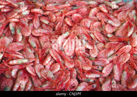 Pile di rosa fresca acqua fredda-gamberi del Mare del Nord sono offerti per la vendita ad un esterno di mercato di pesce in Stavanger, Norvegia, in Scandinavia. Foto Stock