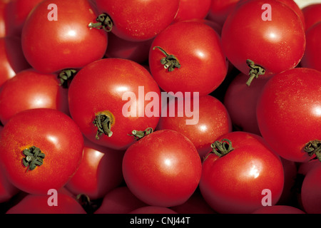 Un cestello di ripe colore rosso dei pomodori appena raccolti dalla fattoria glisten al sole in un outdoor street market. Foto Stock