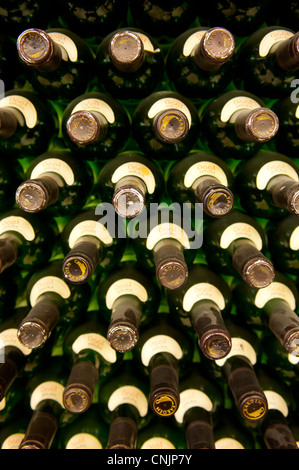 Medio Oriente Israele - Golan Winery - Golan- vino bottiglie impilati in un rack Foto Stock