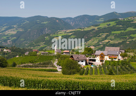 Tiso, Val di Funes (Villnoss), Dolomiti, Trentino Alto Adige, Alto Adige, Italia. Foto Stock