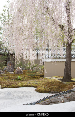 Kodai-ji, Kodaijusho-zenji tempio nel quartiere di Higashiyama di Kyoto, Giappone. Foto Stock