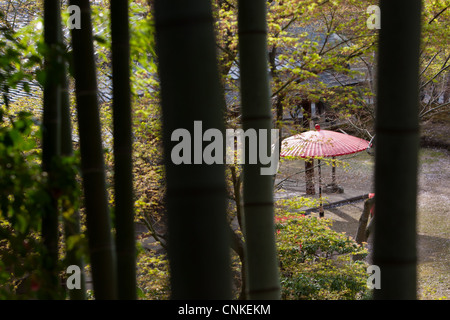 Kodai-ji, Kodaijusho-zenji tempio nel quartiere di Higashiyama di Kyoto, Giappone. Foto Stock