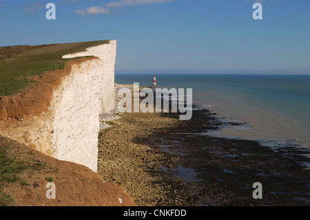 Chalk scogliere di Beachy Head vicino a Eastbourne. East Sussex. In Inghilterra. Con il faro sotto la scogliera sulla spiaggia Foto Stock