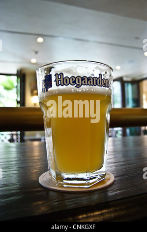 Un vetro stampato del belga Hoegaarden birra di grano in un bar in Dubai Emirati Arabi Uniti Foto Stock