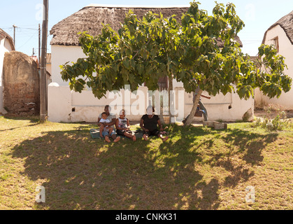 Elim un borgo storico e stazione missionaria al capo Overberg Western Cape Sud Africa famiglia seduto sotto un albero di fico Foto Stock