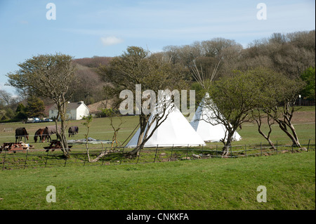 Tepees per una vacanza in campeggio a Ogmore Vale of Glamorgan South Wales UK Foto Stock