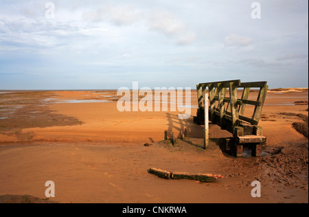 Un ponte di accesso a Stiffkey Freshes su una piccola insenatura a bassa marea a Stiffkey, Norfolk, Inghilterra, Regno Unito. Foto Stock