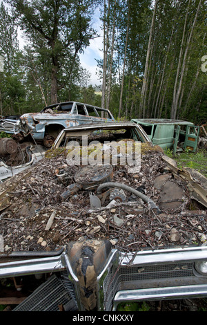 Il cimitero di auto. L'Alaska. Stati Uniti d'America Foto Stock