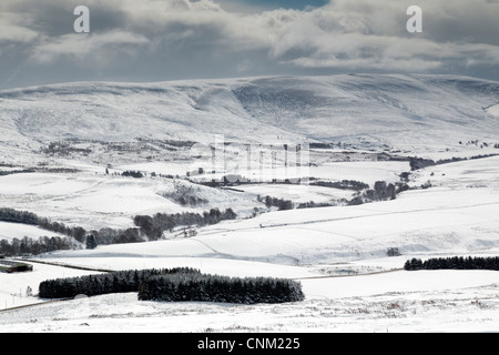 Ben Rinnes; Cairngorms; Scozia; Regno Unito; nella neve Foto Stock