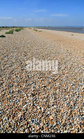 Spiaggia ghiaiosa Greatstone Kent England Regno Unito Foto Stock