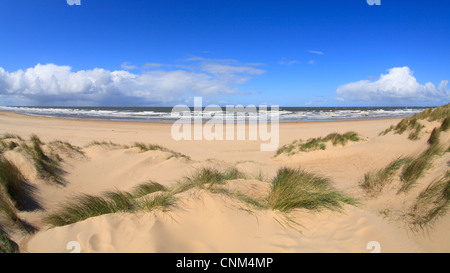 Guardando al mare a Holkham Bay sulla Costa North Norfolk. Foto Stock