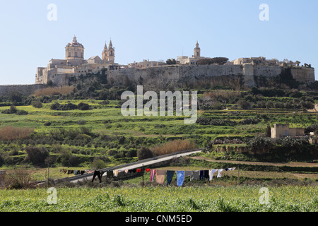 L'antica città fortificata di Mdina visto attraverso la campagna con una linea di lavaggio in primo piano di Malta, Europa Foto Stock