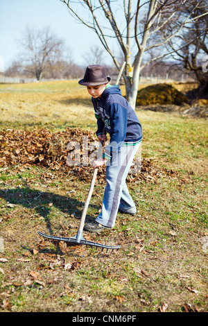 Giovane ragazzo in hat pulizie di primavera in un frutteto di noce con un rastrello Foto Stock