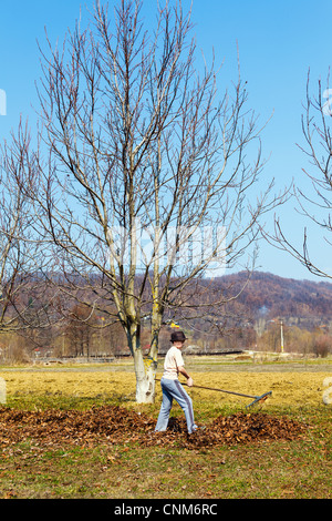 Giovane ragazzo in hat pulizie di primavera in un frutteto di noce con un rastrello Foto Stock