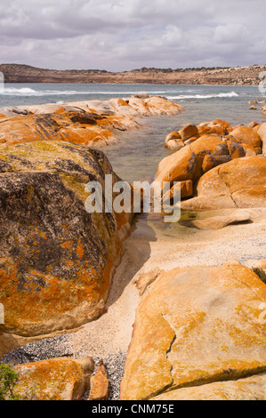 La Graniti a Westall Bay nei pressi di striature sulla costa ovest della penisola di Eyre in Sud Australia Foto Stock