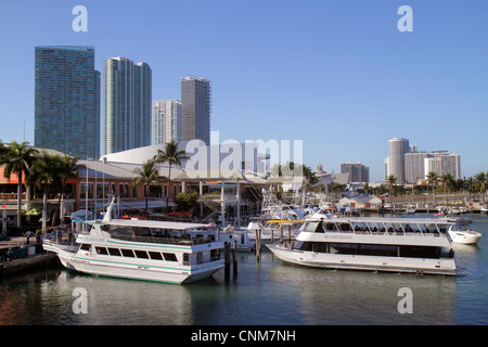 Miami Florida, Bayside Marketplace, Marina, Biscayne Bay, Island Queen, tour in barca, alto livello, condomini, FL120311083 Foto Stock