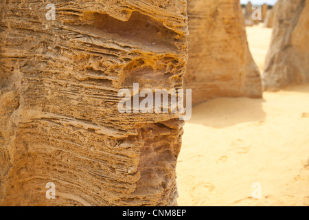 Close-up di formazione di calcare al Deserto Pinnacles sulla "Indian Ocean Drive', Western Australia. Foto Stock